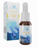 Imagem de FORMULA FLORAL DISPOSIÇAO ALEGRIA 30ML